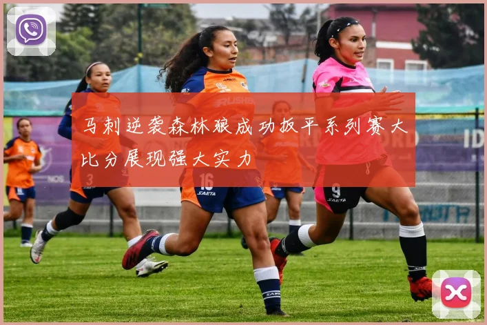 马刺逆袭森林狼成功扳平系列赛大比分展现强大实力