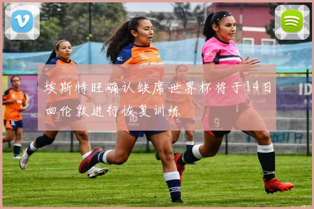 埃斯特旺确认缺席世界杯将于14日回伦敦进行恢复训练